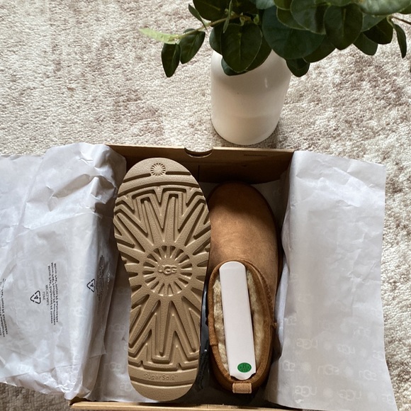 NWT Ultra Mini Chestnut Uggs - Picture 4 of 9